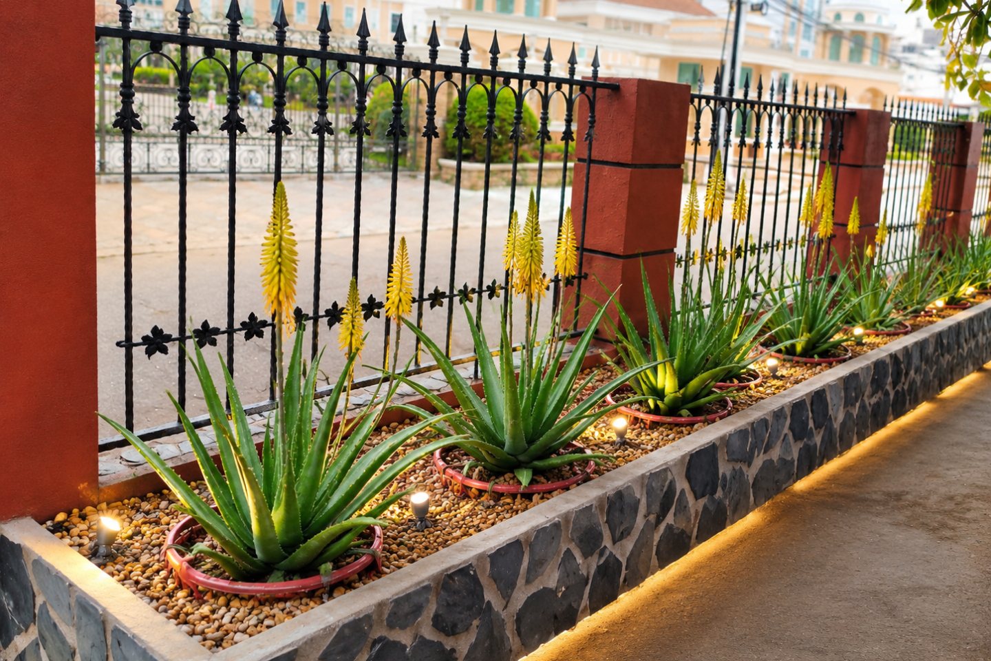สวนว่านหางจระเข้ ส่วนหนึ่งของ Oxygen Garden